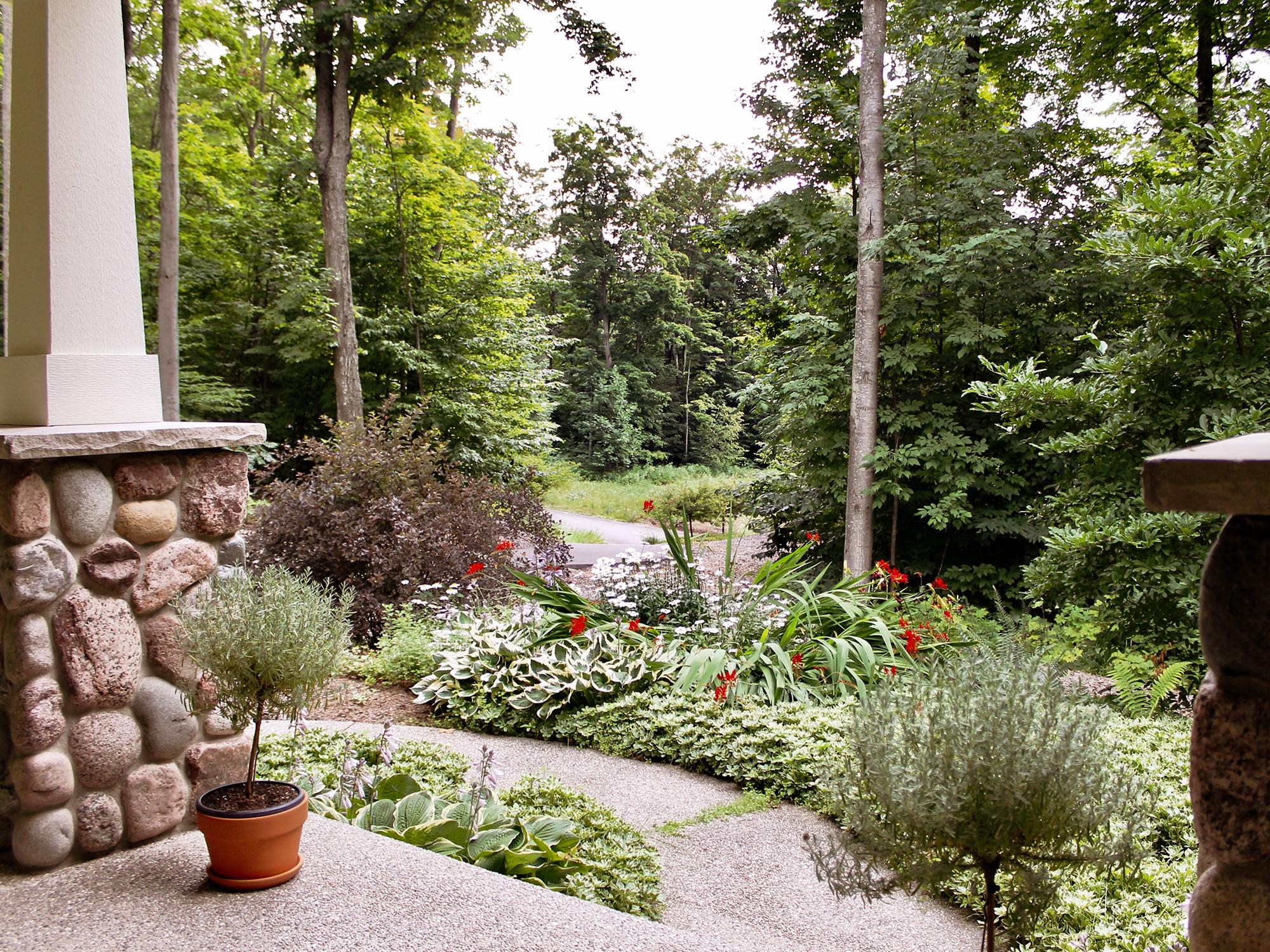 view from new construction home in Glen Arbor Northern Michigan residential on wooded lot